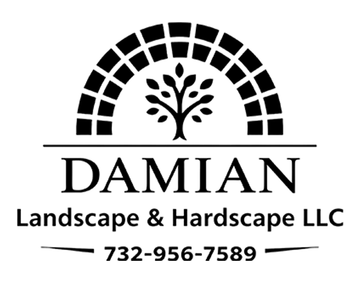 Damian Landscape & Hardscape LLC