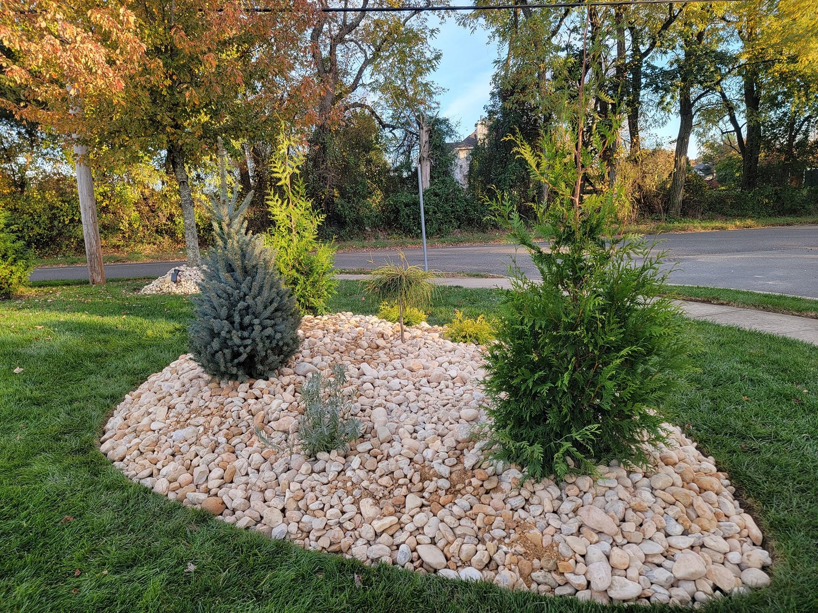 Landscaping Project 5