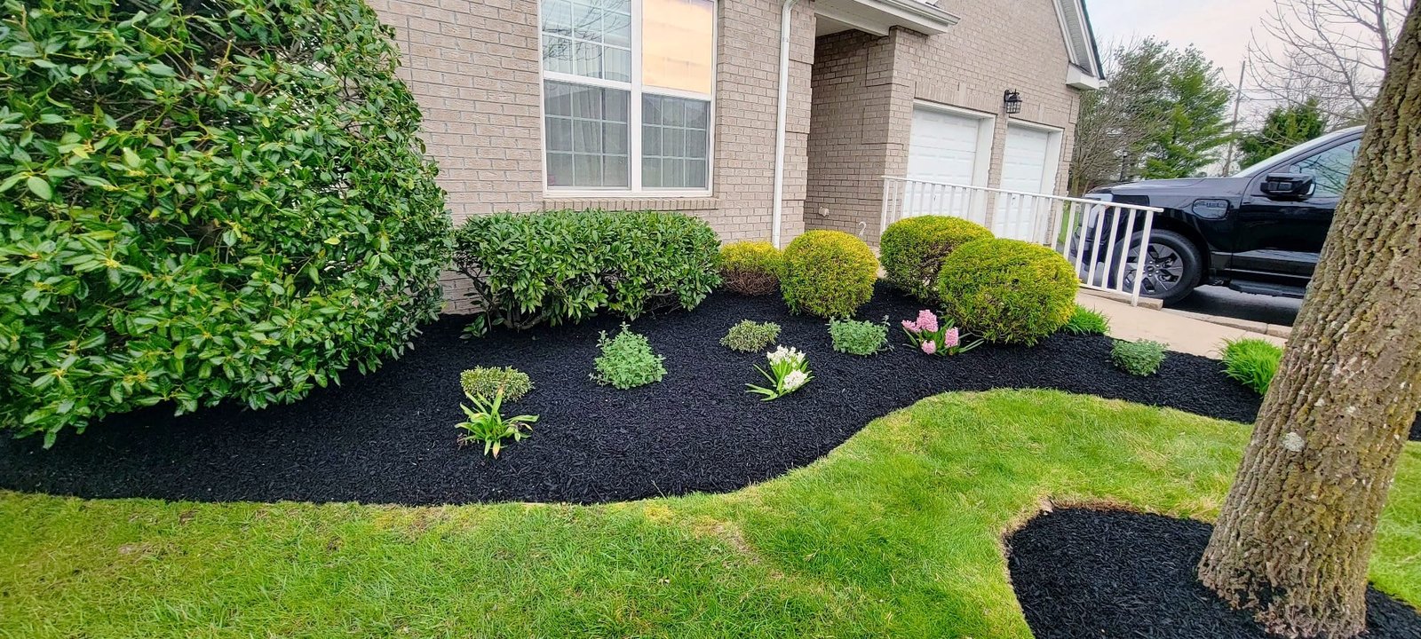 Landscaping Project 6
