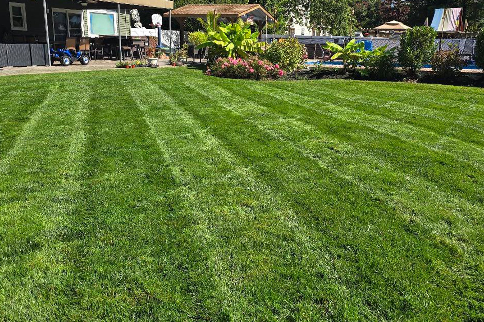 Lawn Maintenance New Jersey