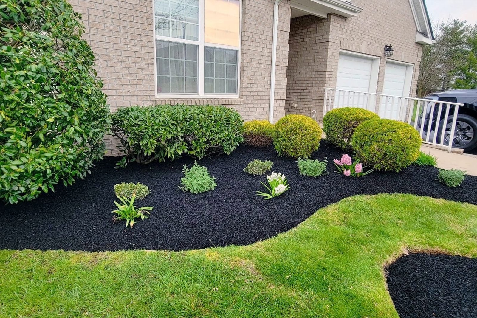 Topsoil and Seed services NJ